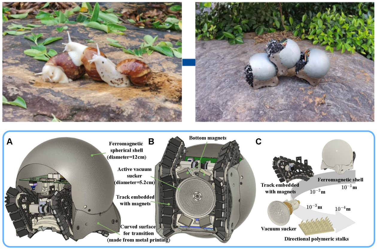Freebo Robotics Research - Freeform Robotics